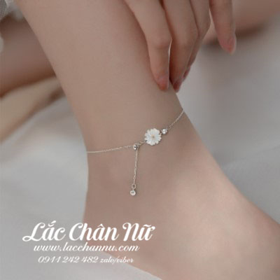 lac-chan-bac-nu-hoa-cuc-lcbn278 lac-chan-bac-nu-hoa-cuc-lcbn278
