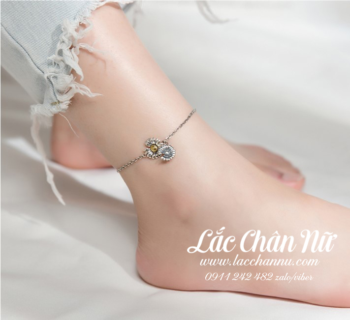 lac-chan-bac-nu-hoa-cuc-daisies-khuyet-canh-ca-tinh-lcbn222 lac-chan-bac-nu-hoa-cuc-daisies-khuyet-canh-ca-tinh-lcbn222